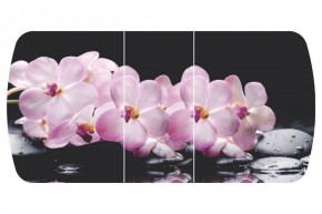 Стол Бостон-3 (Розовая Орхидея) 1100/1420*700, опора Брифинг в Чебаркуле - chebarkul.ok-mebel.com | фото 2