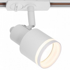 Светильник на штанге Citilux Bruno CL565T10 в Чебаркуле - chebarkul.ok-mebel.com | фото 2