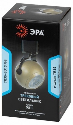 Светильник на штанге Эра  TR35-GU10 MG в Чебаркуле - chebarkul.ok-mebel.com | фото 4