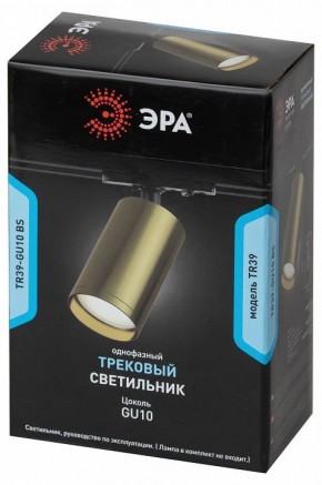 Светильник на штанге Эра  TR39-GU10 BS в Чебаркуле - chebarkul.ok-mebel.com | фото 4