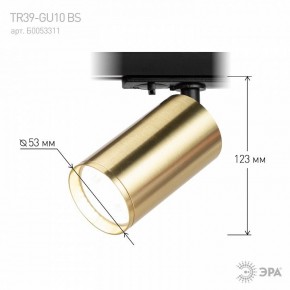 Светильник на штанге Эра  TR39-GU10 BS в Чебаркуле - chebarkul.ok-mebel.com | фото 6
