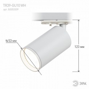 Светильник на штанге Эра  TR39-GU10 WH в Чебаркуле - chebarkul.ok-mebel.com | фото 7