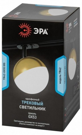 Светильник на штанге Эра  TR42-GX53 BS в Чебаркуле - chebarkul.ok-mebel.com | фото 6