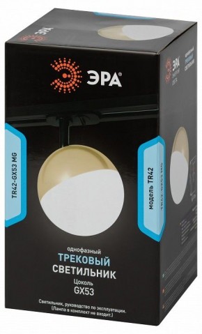 Светильник на штанге Эра  TR42-GX53 MG в Чебаркуле - chebarkul.ok-mebel.com | фото 6