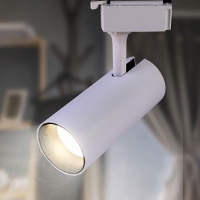 Светильник на штанге Эра  TR5-10 COB WH в Чебаркуле - chebarkul.ok-mebel.com | фото 3