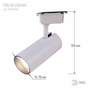 Светильник на штанге Эра  TR5-30 COB WH в Чебаркуле - chebarkul.ok-mebel.com | фото 6