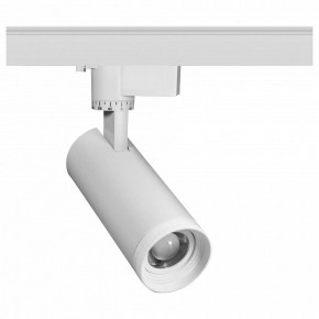 Светильник на штанге Эра  TR59 - 2030 WH в Чебаркуле - chebarkul.ok-mebel.com | фото