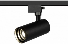 Светильник на штанге Эра  TR59 - 2040 BK в Чебаркуле - chebarkul.ok-mebel.com | фото 5