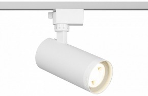 Светильник на штанге Эра  TR59 - 2040 WH в Чебаркуле - chebarkul.ok-mebel.com | фото
