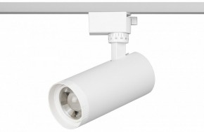 Светильник на штанге Эра  TR59 - 2040 WH в Чебаркуле - chebarkul.ok-mebel.com | фото 2