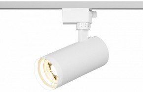 Светильник на штанге Эра  TR59 - 2040 WH в Чебаркуле - chebarkul.ok-mebel.com | фото 5