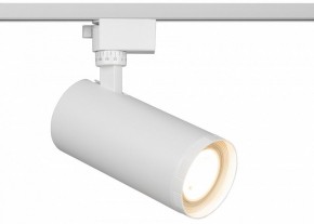 Светильник на штанге Эра  TR59 - 3030 WH в Чебаркуле - chebarkul.ok-mebel.com | фото
