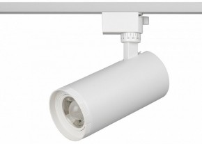 Светильник на штанге Эра  TR59 - 3030 WH в Чебаркуле - chebarkul.ok-mebel.com | фото 2