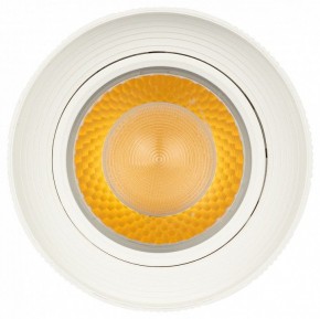 Светильник на штанге Эра  TR59 - 3030 WH в Чебаркуле - chebarkul.ok-mebel.com | фото 3