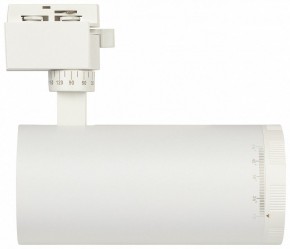 Светильник на штанге Эра  TR59 - 3030 WH в Чебаркуле - chebarkul.ok-mebel.com | фото 4