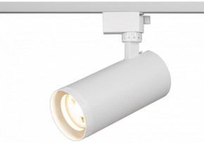 Светильник на штанге Эра  TR59 - 3030 WH в Чебаркуле - chebarkul.ok-mebel.com | фото 5