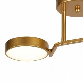 Светильник на штанге Escada Starlight 10273/2LED в Чебаркуле - chebarkul.ok-mebel.com | фото 4