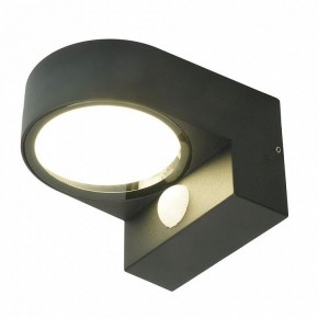 Светильник на штанге Feron DH1202 51327 в Чебаркуле - chebarkul.ok-mebel.com | фото 2