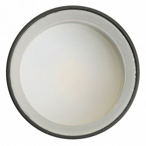 Светильник на штанге Feron ML1001 51371 в Чебаркуле - chebarkul.ok-mebel.com | фото 4