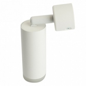 Светильник на штанге Feron ML1021 51390 в Чебаркуле - chebarkul.ok-mebel.com | фото 3