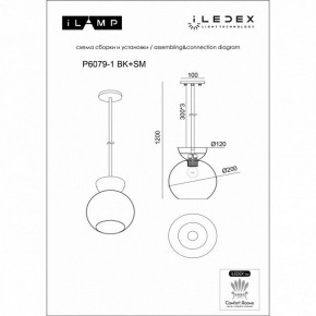 Светильник на штанге iLamp Mono P6079-1 BK+WH в Чебаркуле - chebarkul.ok-mebel.com | фото 3