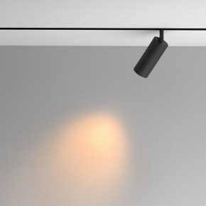 Светильник на штанге Maytoni Artisan TR097-2-12W2.7K-M-BB в Чебаркуле - chebarkul.ok-mebel.com | фото 4