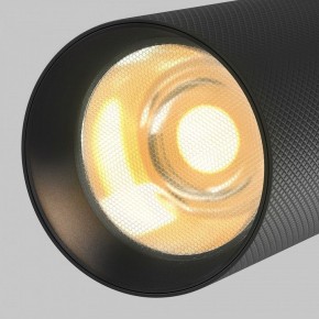 Светильник на штанге Maytoni Artisan TR097-2-12W2.7K-M-BB в Чебаркуле - chebarkul.ok-mebel.com | фото 9