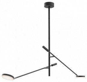 Светильник на штанге Maytoni Fad MOD070CL-L15B3K1 в Чебаркуле - chebarkul.ok-mebel.com | фото