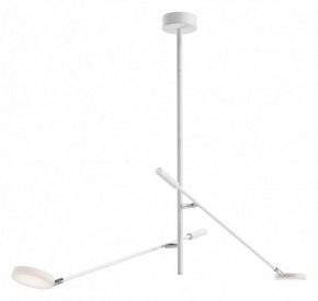 Светильник на штанге Maytoni Fad MOD070CL-L15W3K1 в Чебаркуле - chebarkul.ok-mebel.com | фото