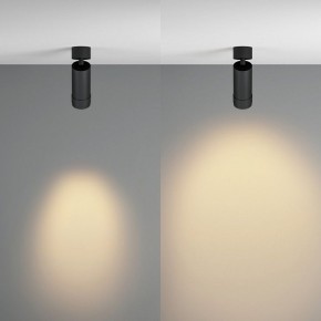 Светильник на штанге Maytoni Focus Zoom C055CL-L12W2.7K-Z-B в Чебаркуле - chebarkul.ok-mebel.com | фото 3