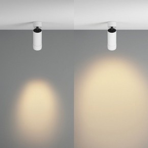 Светильник на штанге Maytoni Focus Zoom C055CL-L12W2.7K-Z-W в Чебаркуле - chebarkul.ok-mebel.com | фото 3