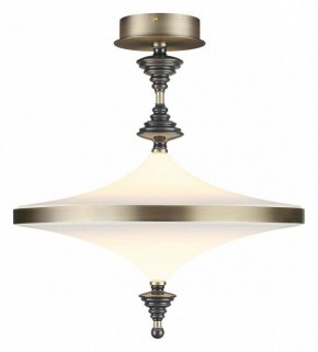 Светильник на штанге Odeon Light Ula 5404/43CL в Чебаркуле - chebarkul.ok-mebel.com | фото 2