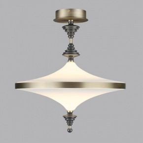 Светильник на штанге Odeon Light Ula 5404/43CL в Чебаркуле - chebarkul.ok-mebel.com | фото 3