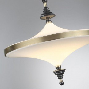 Светильник на штанге Odeon Light Ula 5404/43CL в Чебаркуле - chebarkul.ok-mebel.com | фото 6