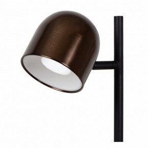 Торшер Lucide Skanska Rech 03749/03/96 в Чебаркуле - chebarkul.ok-mebel.com | фото 3