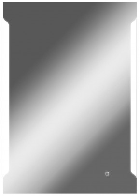 Зеркало Оттава 1000х700 с подсветкой Домино (GL7028Z) в Чебаркуле - chebarkul.ok-mebel.com | фото 1